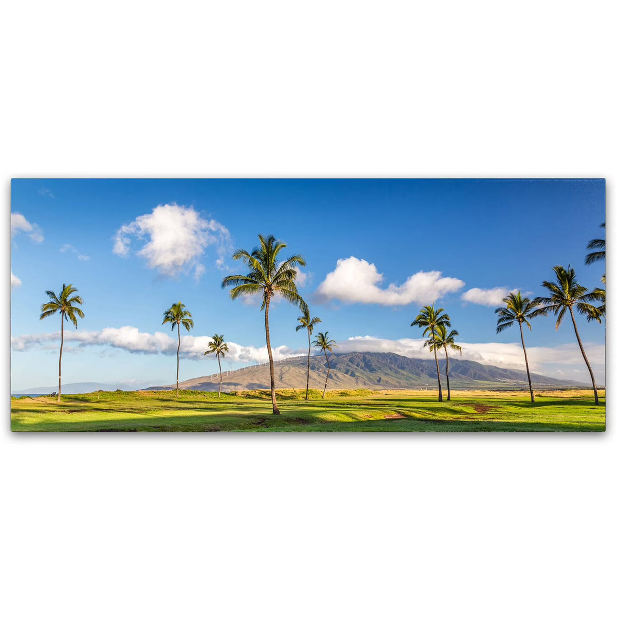 Canvas Art N420780