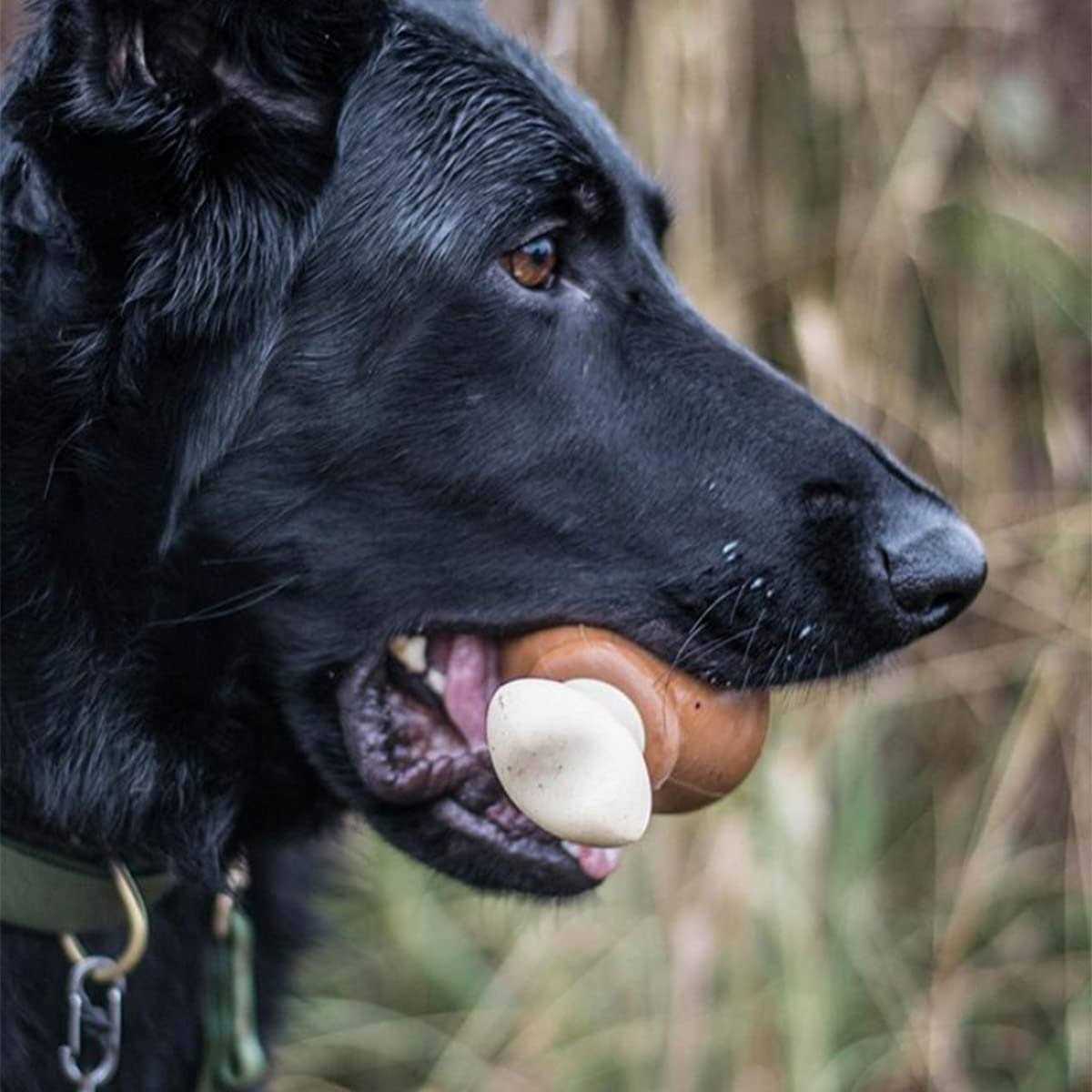 Tough Dog Toys X42860