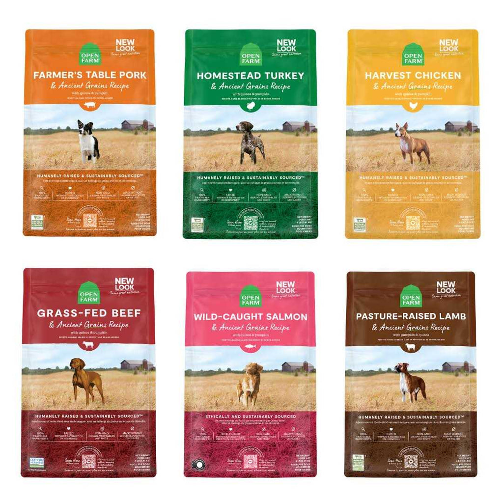 Pasture Raised Lamb Ancient Grains Dry Dog Food C13620