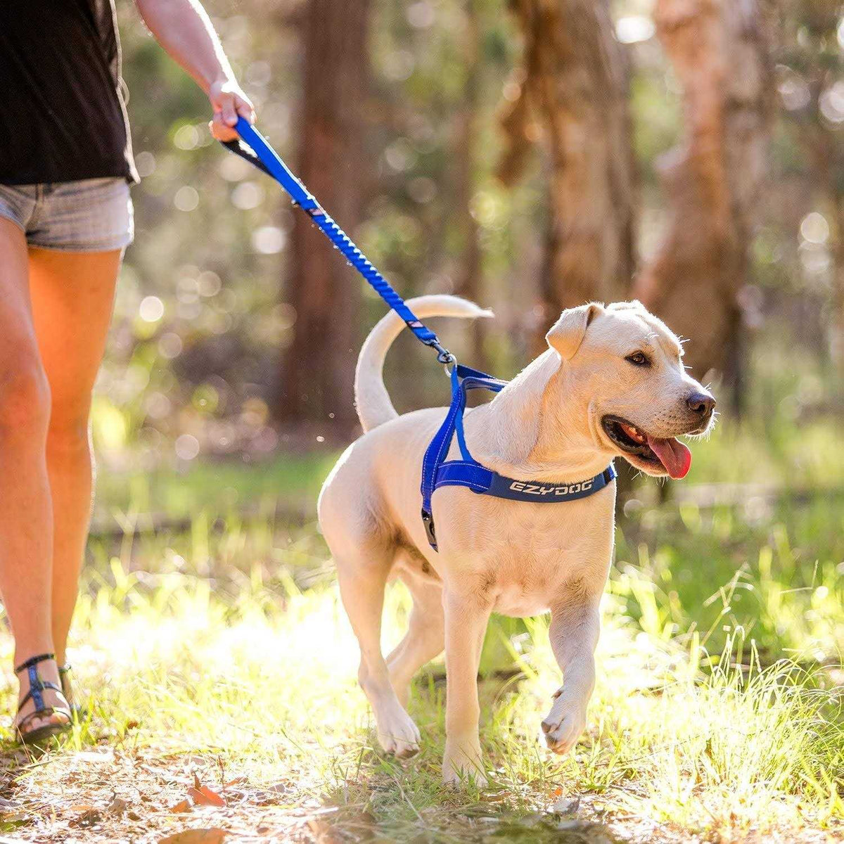 Zero Shock Dog Leash G360