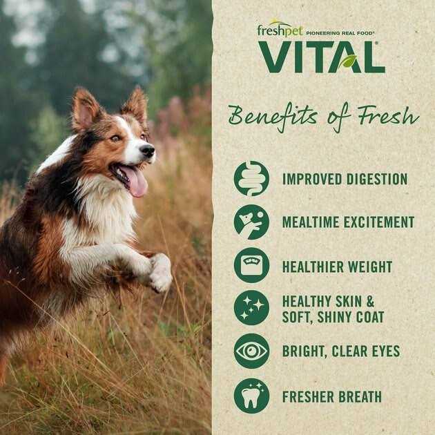 Grain-Free Chicken Small Breed Dog Food L3736