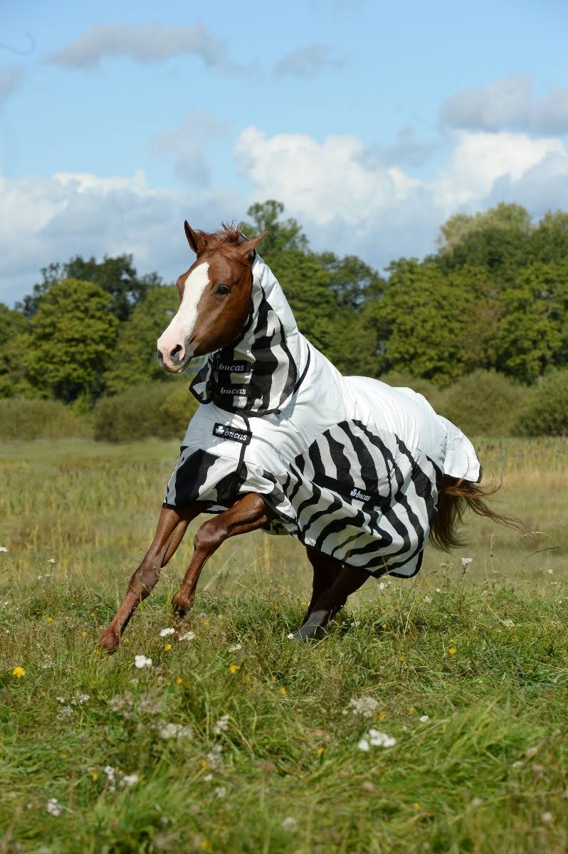 Zebra Full Neck Rain Sheet O3578