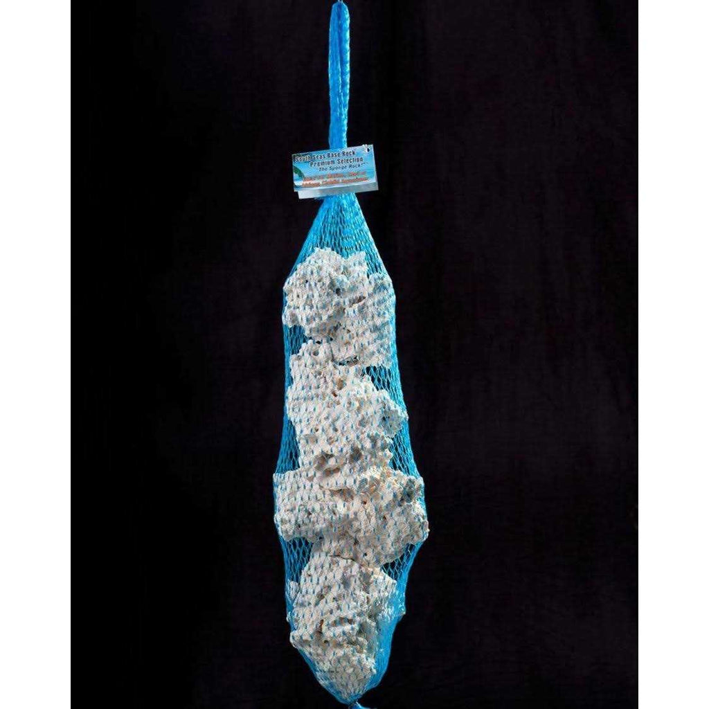 South Sea Base Rock V225