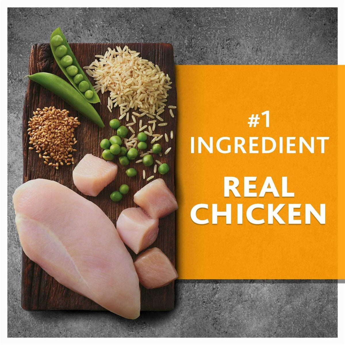 Chicken and Brown Rice Recipe Dry Dog Food C183