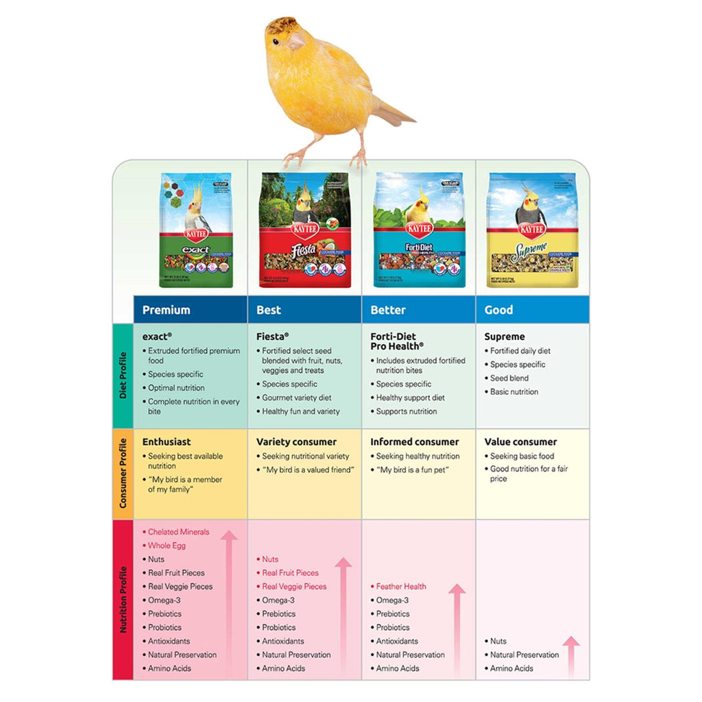 Conure Food Y999936