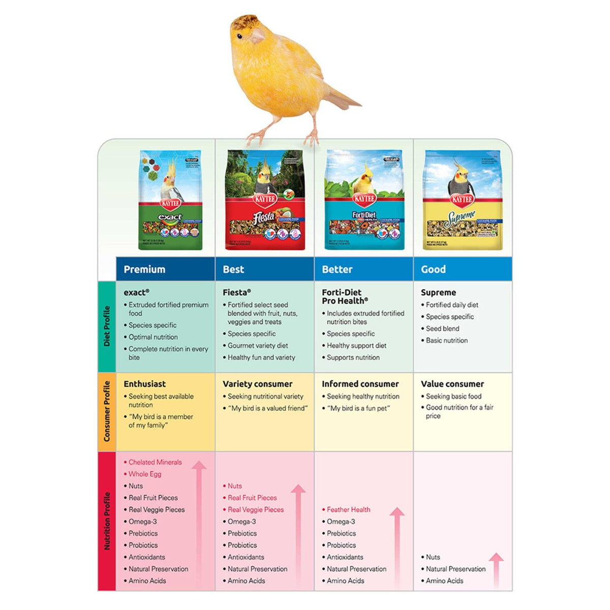 Conure Food Y999936