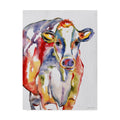 Colorful Cow Canvas Art E2781