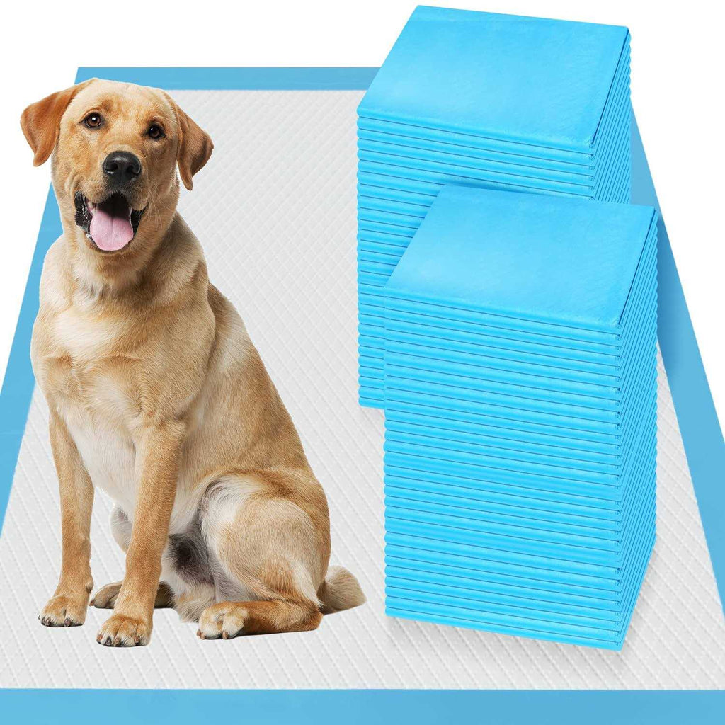 XXL 30x36 Heavy Absorbent Pet Training Pee Pads U197713