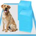 XXL 30x36 Heavy Absorbent Pet Training Pee Pads U197713