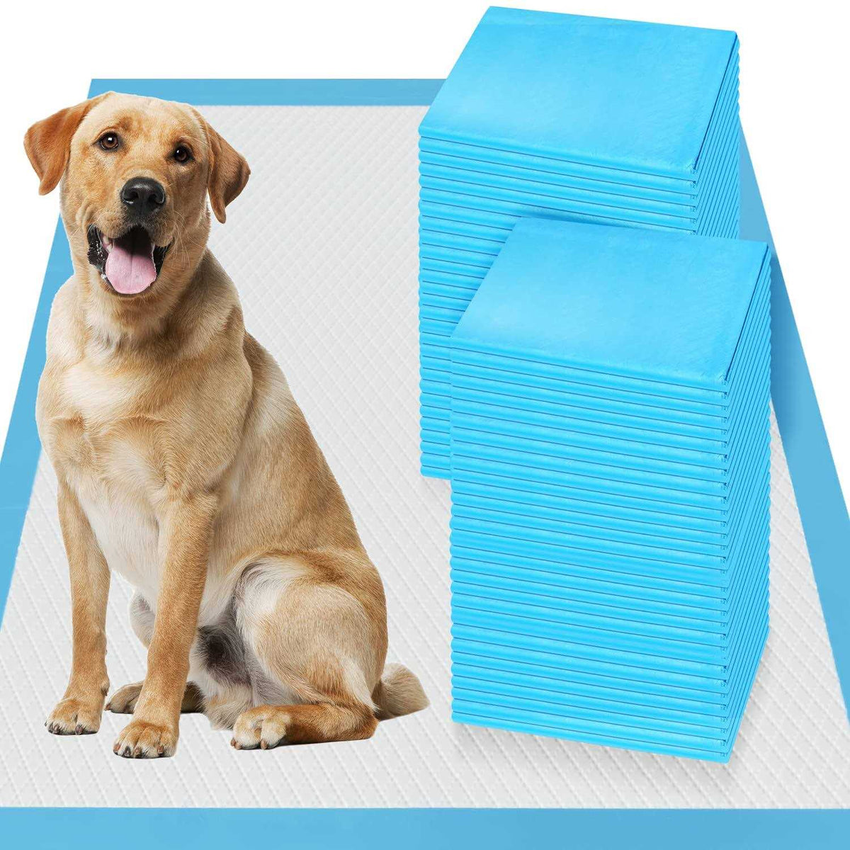 XXL 30x36 Heavy Absorbent Pet Training Pee Pads U197713