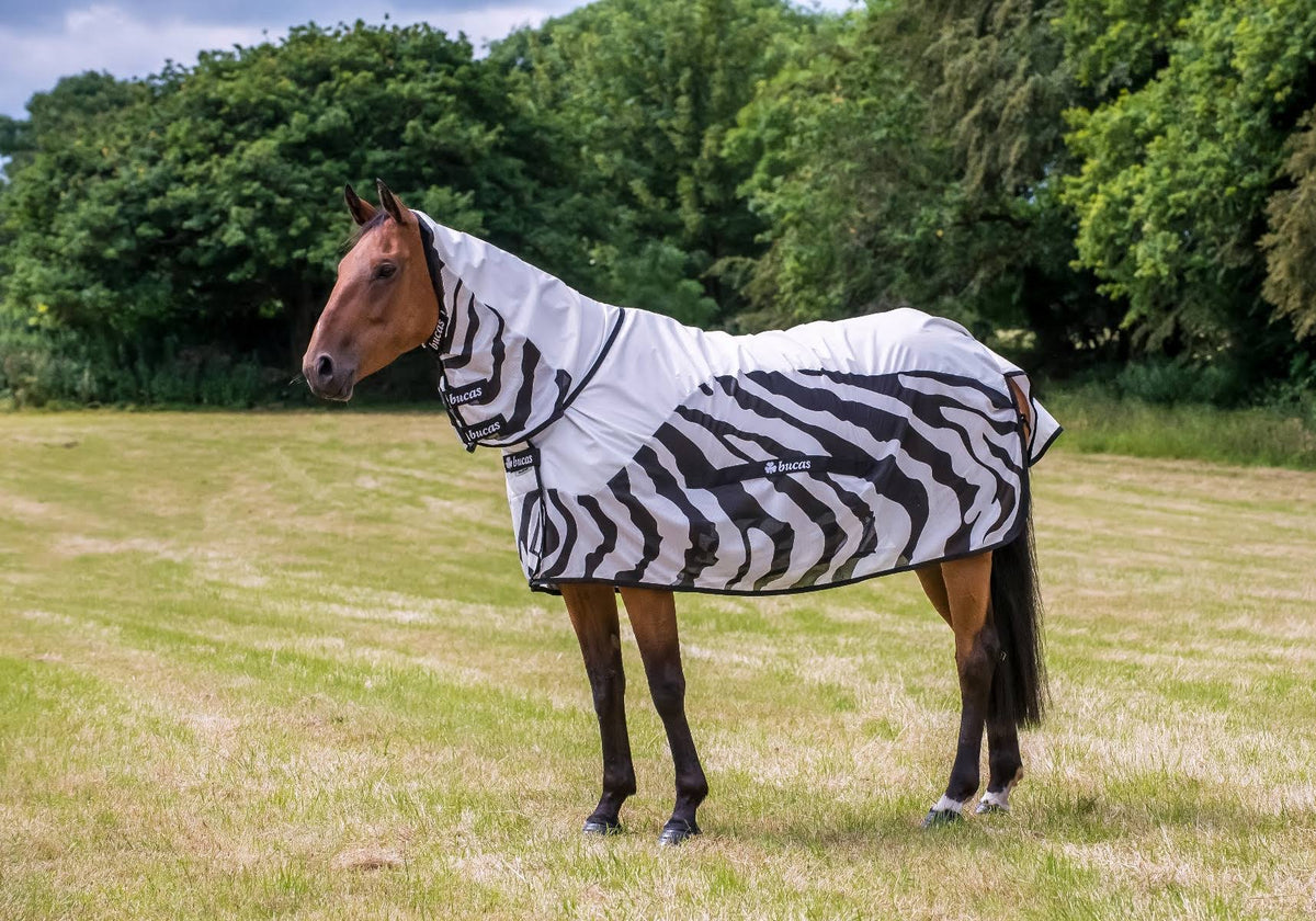 Zebra Full Neck Rain Sheet O3578