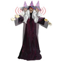Life Size Talking Animated Witch with Light Up Eyes S165897