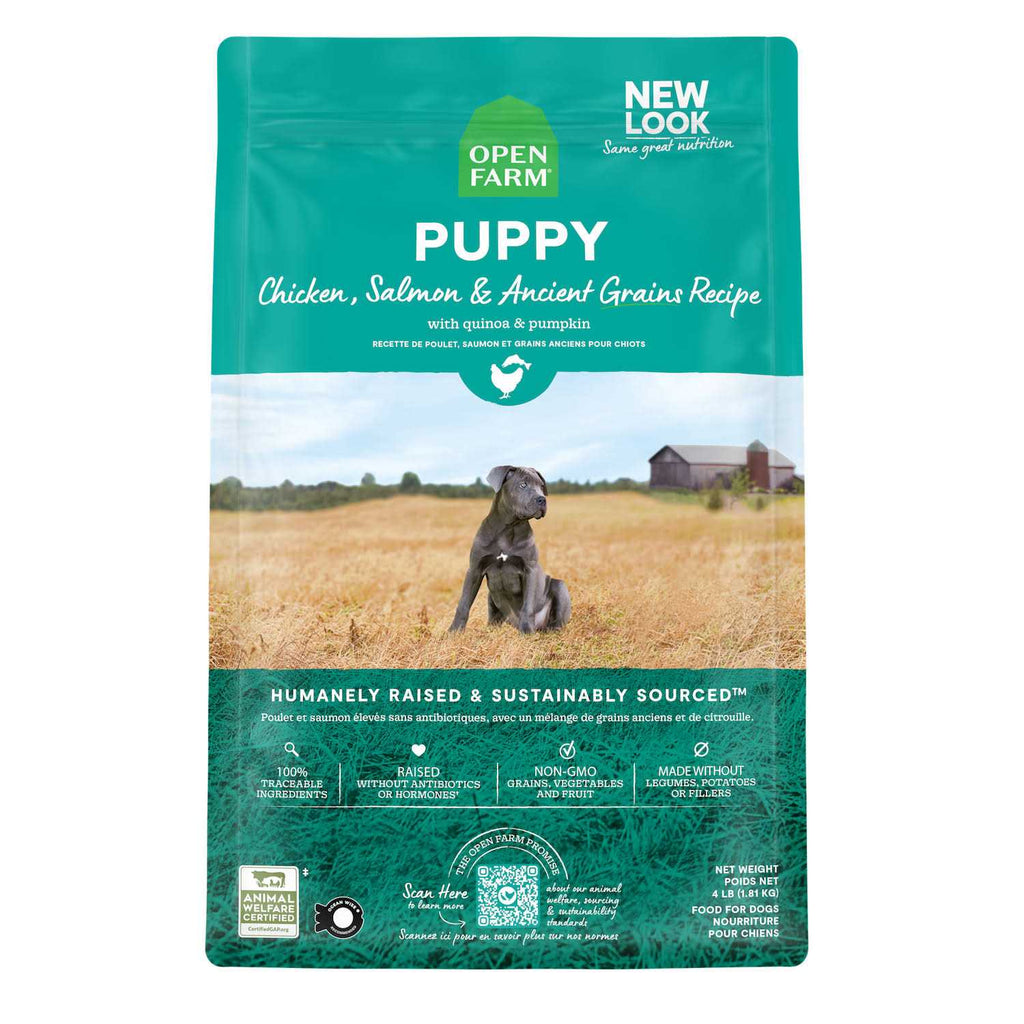 Pasture Raised Lamb Ancient Grains Dry Dog Food C13620