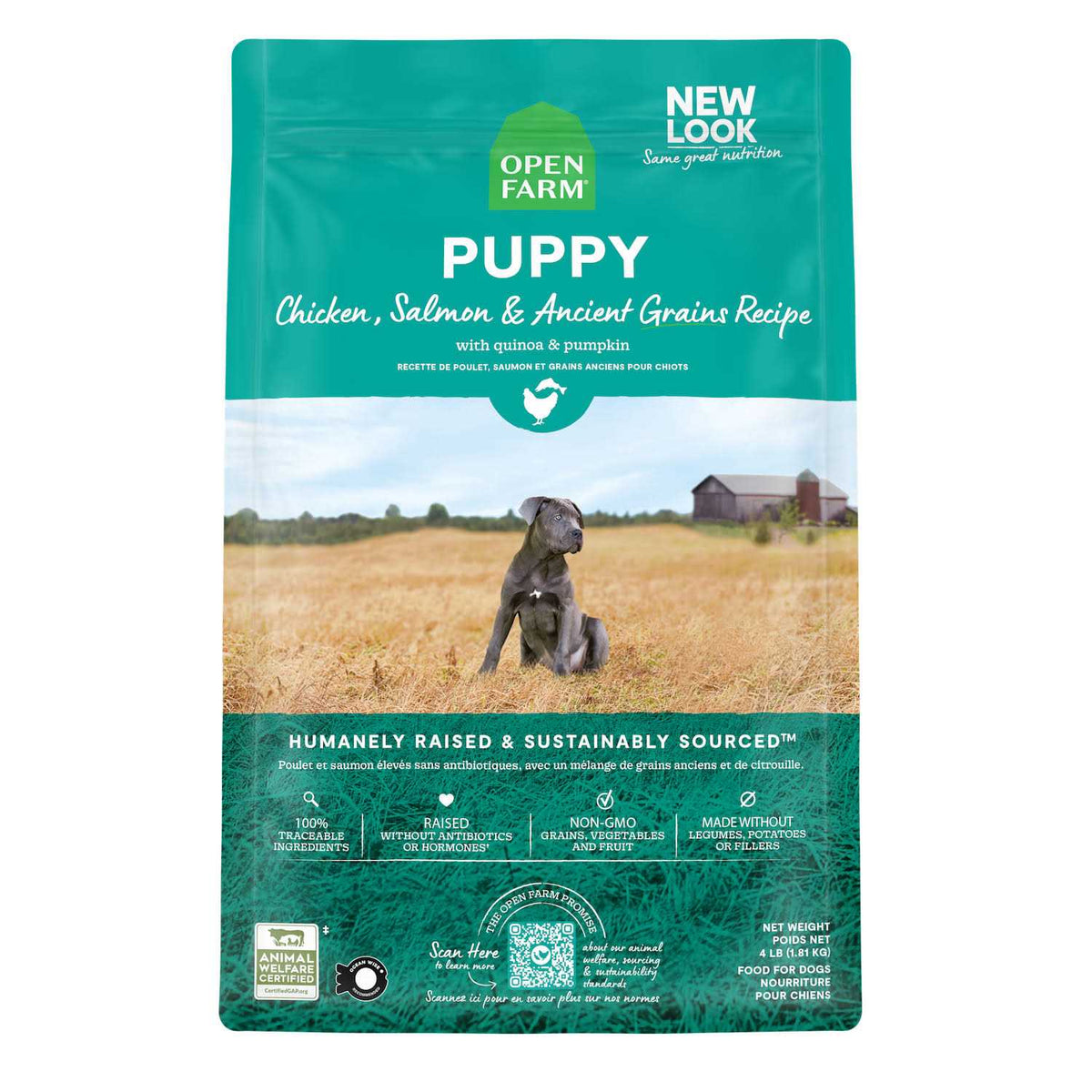 Pasture Raised Lamb Ancient Grains Dry Dog Food C13620