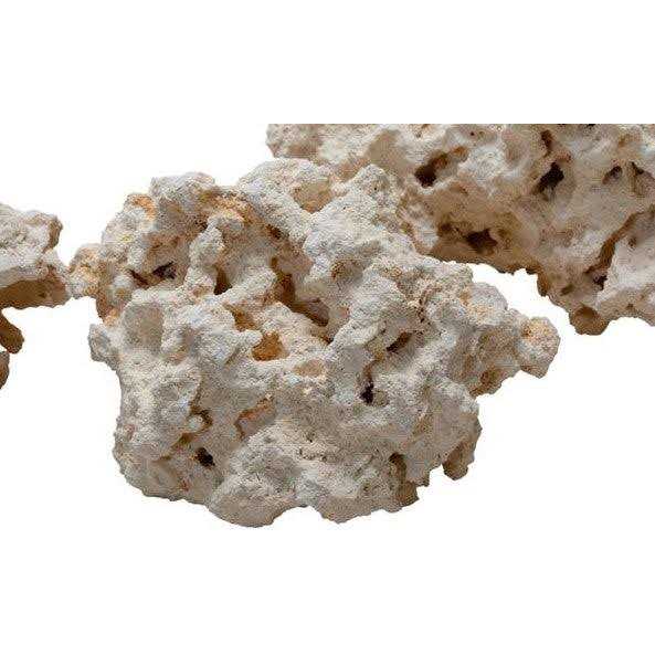 South Sea Base Rock V225