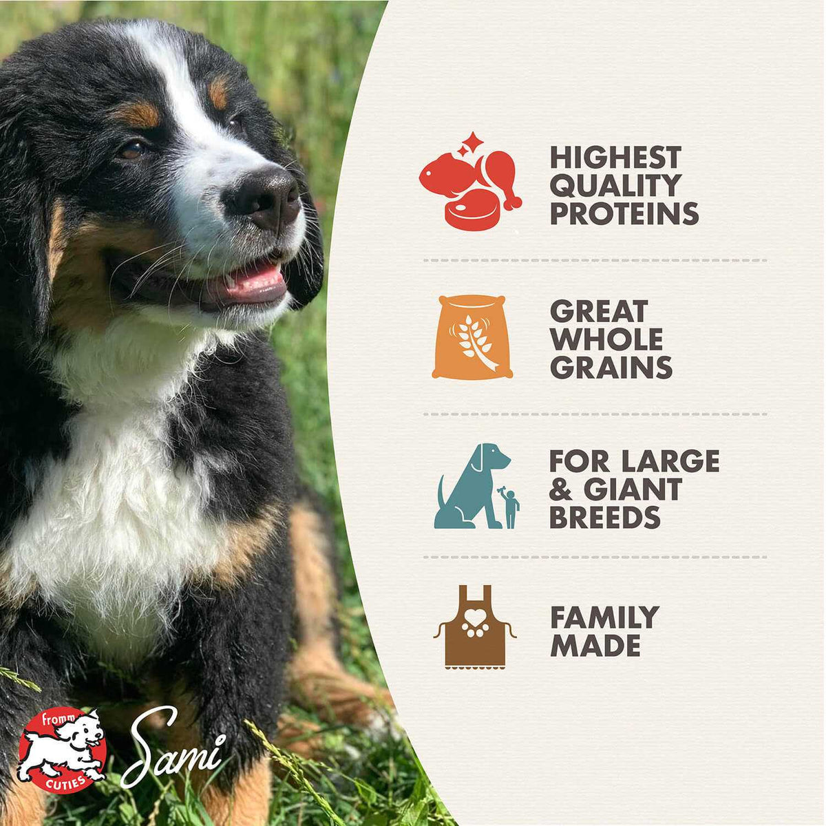 Fromm Gold Dry Dog Food Large Breed Puppy H80949