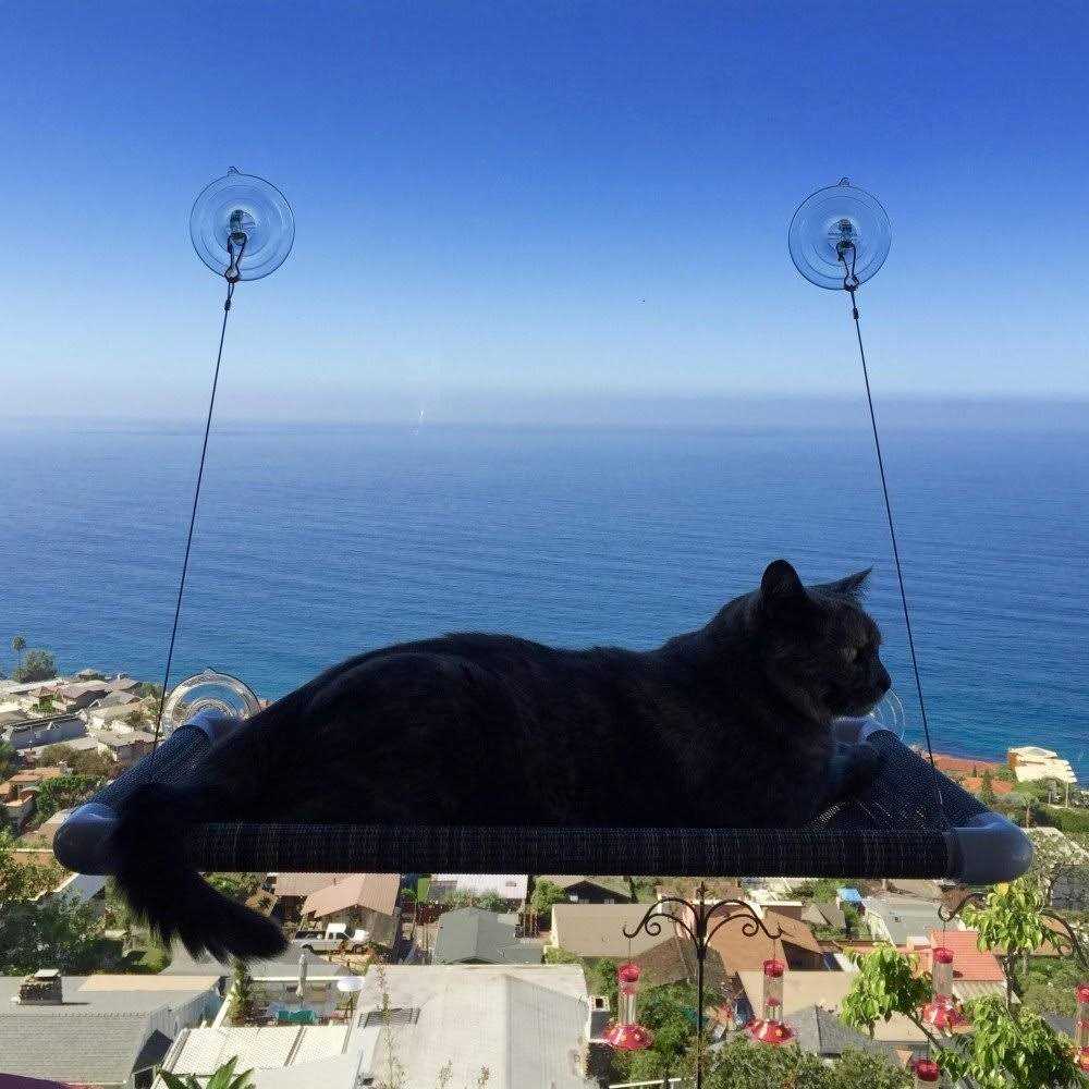 Cat Perch E4248
