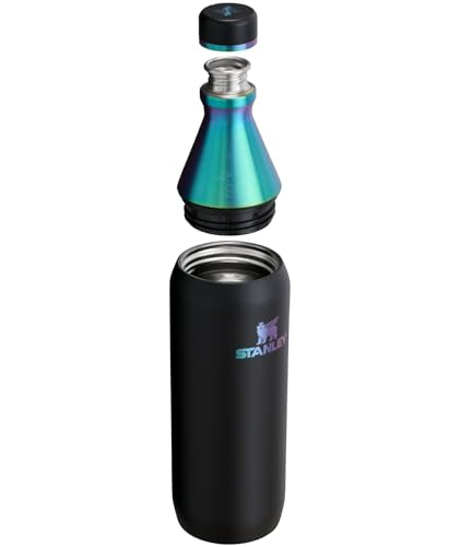 Black Chroma 20 oz Insulated Stainless Steel Bottle J84458