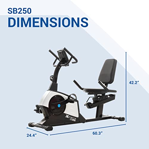 Recumbent Bike U666
