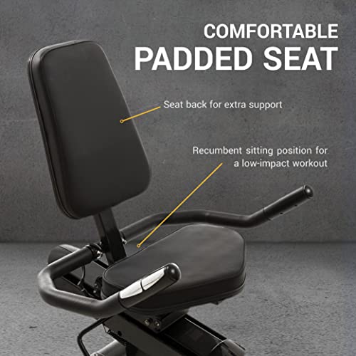 Recumbent Bike U666