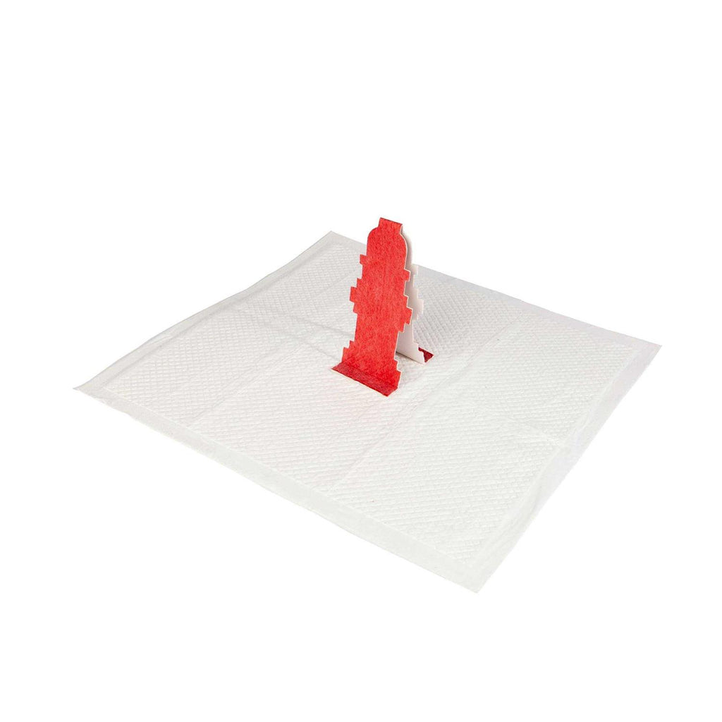 Pop-Up Pee Pad for Dogs V129