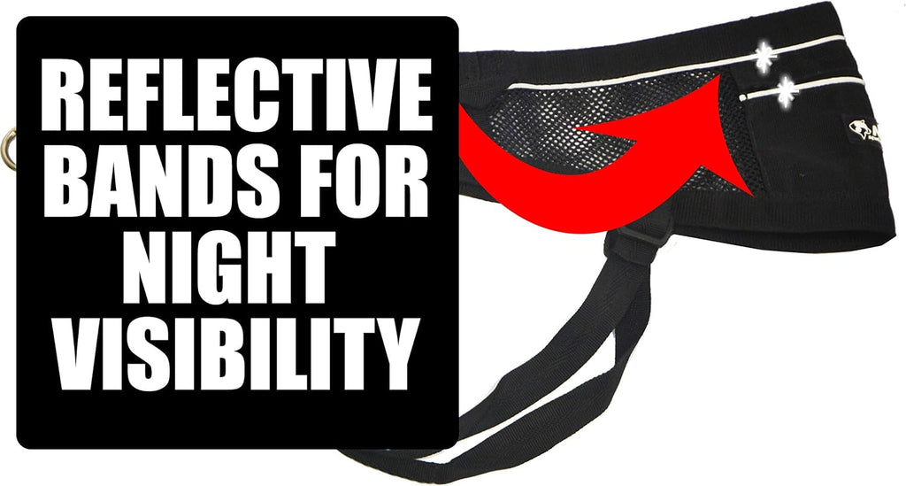 Canicross & Skijoring Dog Walking Belt with Dog Running Leash, Black K559546