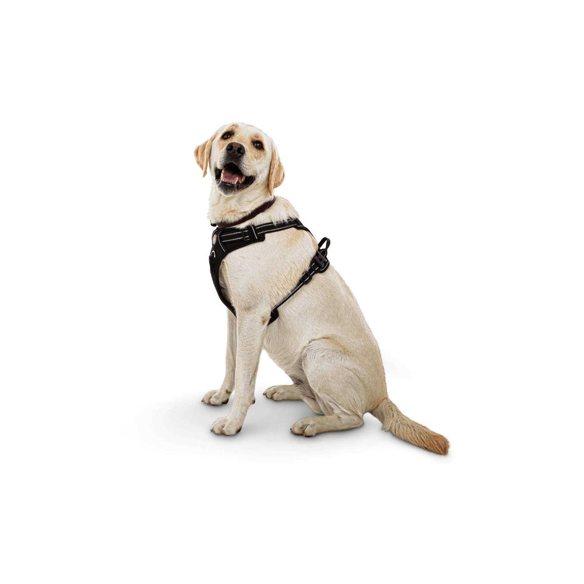 Black Front Walking Dog Harness I3471