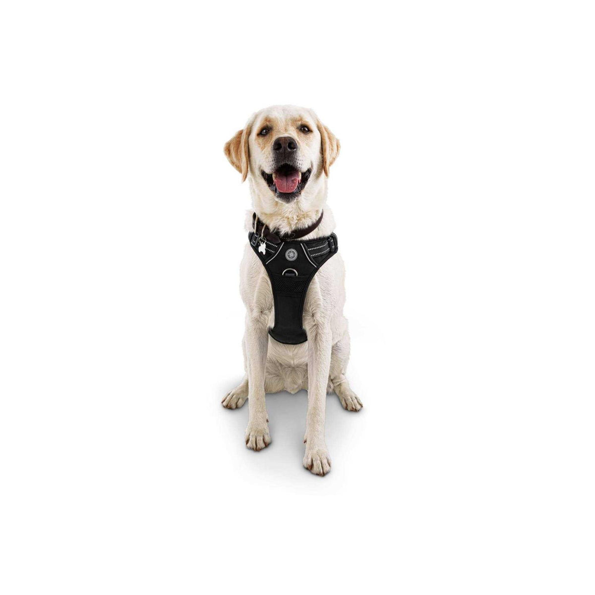 Black Front Walking Dog Harness I3471