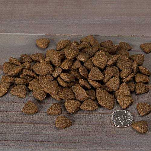 Turkey Recipe Grain-Free Dry Dog Food N580