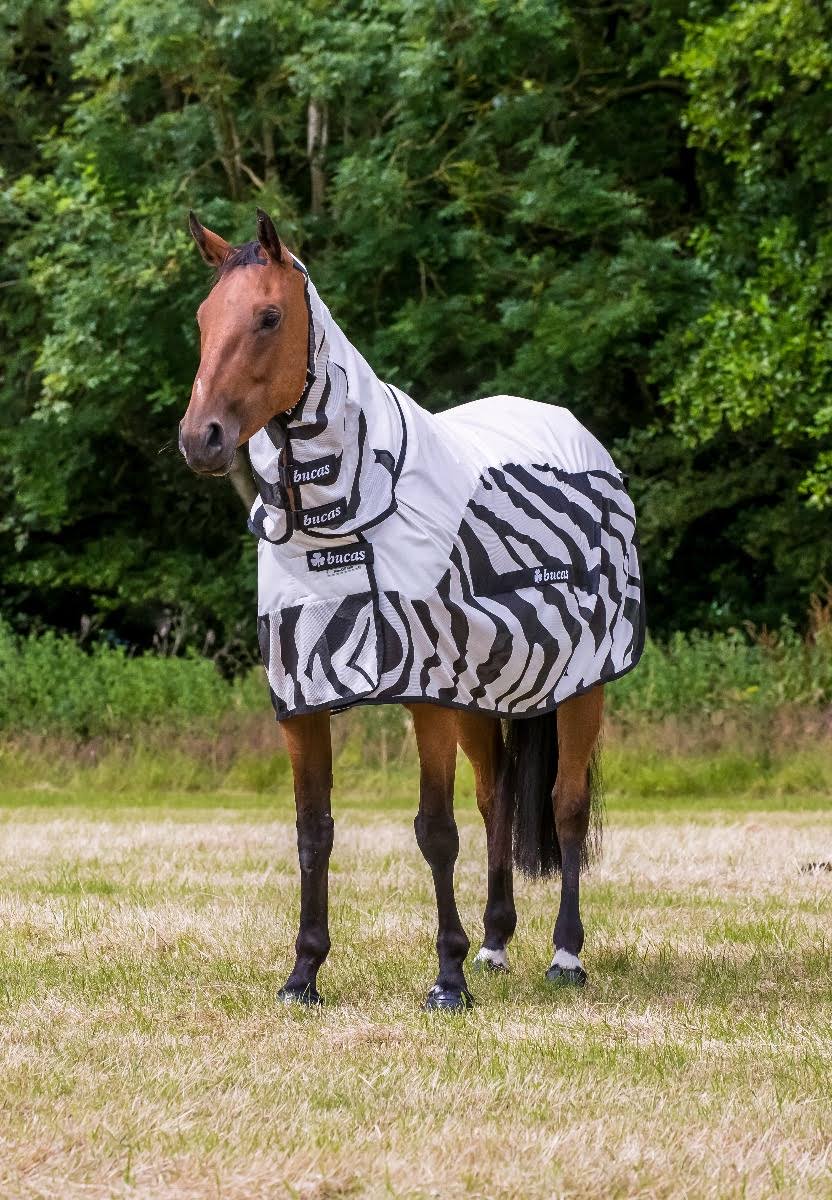 Zebra Full Neck Rain Sheet O3578
