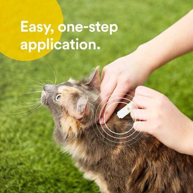 Flea & Tick Spot Treatment for Cats N37449