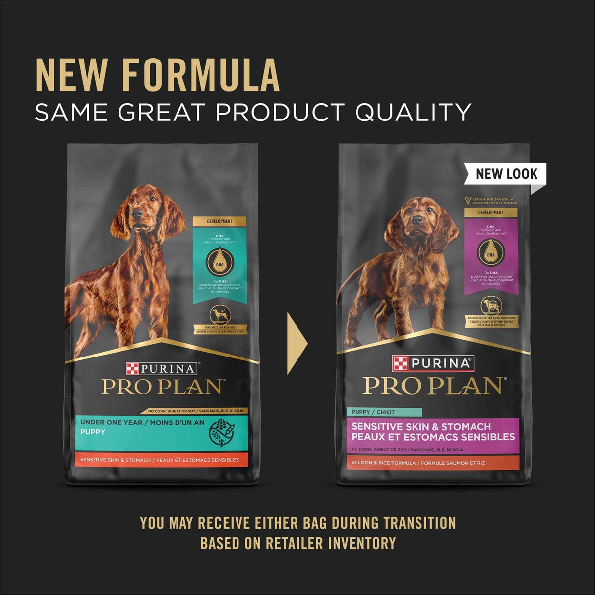 Sensitive Skin & Stomach Dry Puppy Food R5931