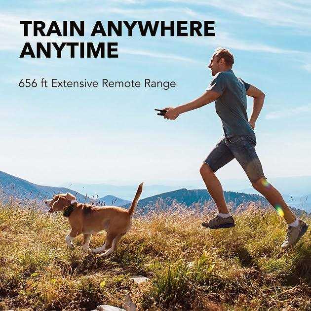 Dog Training System Q134480