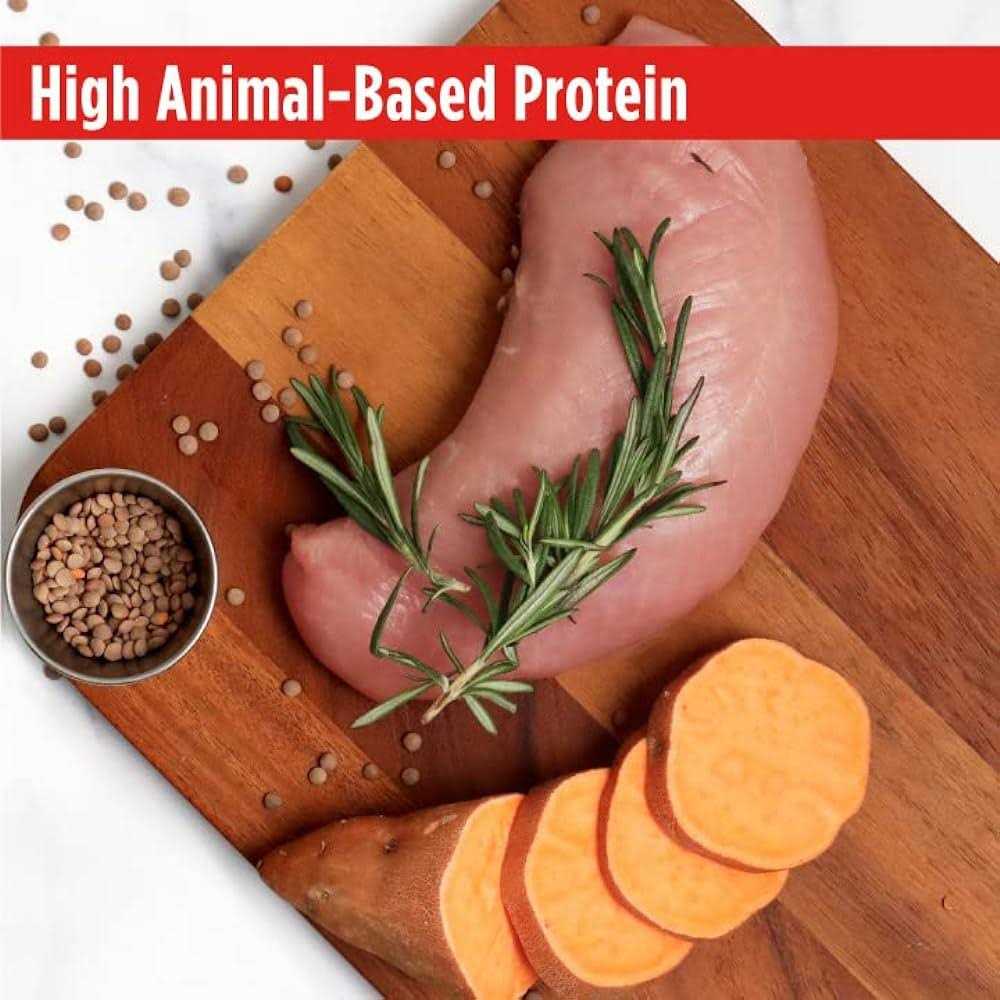 Turkey Recipe Grain-Free Dry Dog Food N580