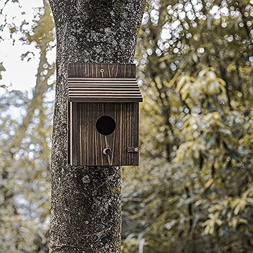 Weatherproof Wooden Bird House with Pole G26028