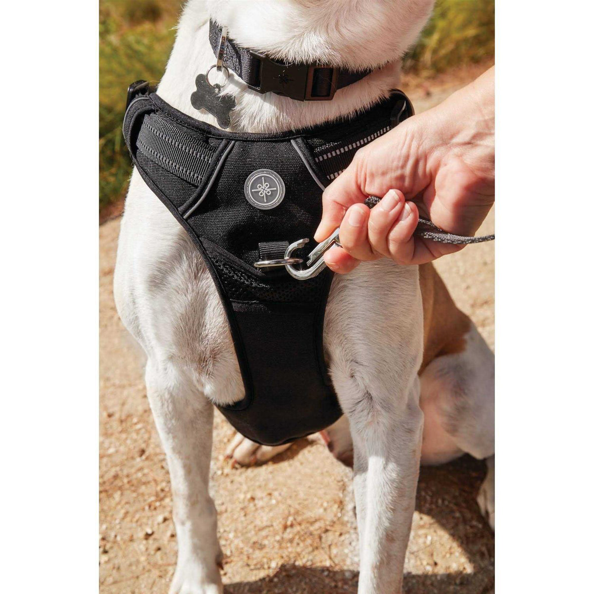 Black Front Walking Dog Harness I3471