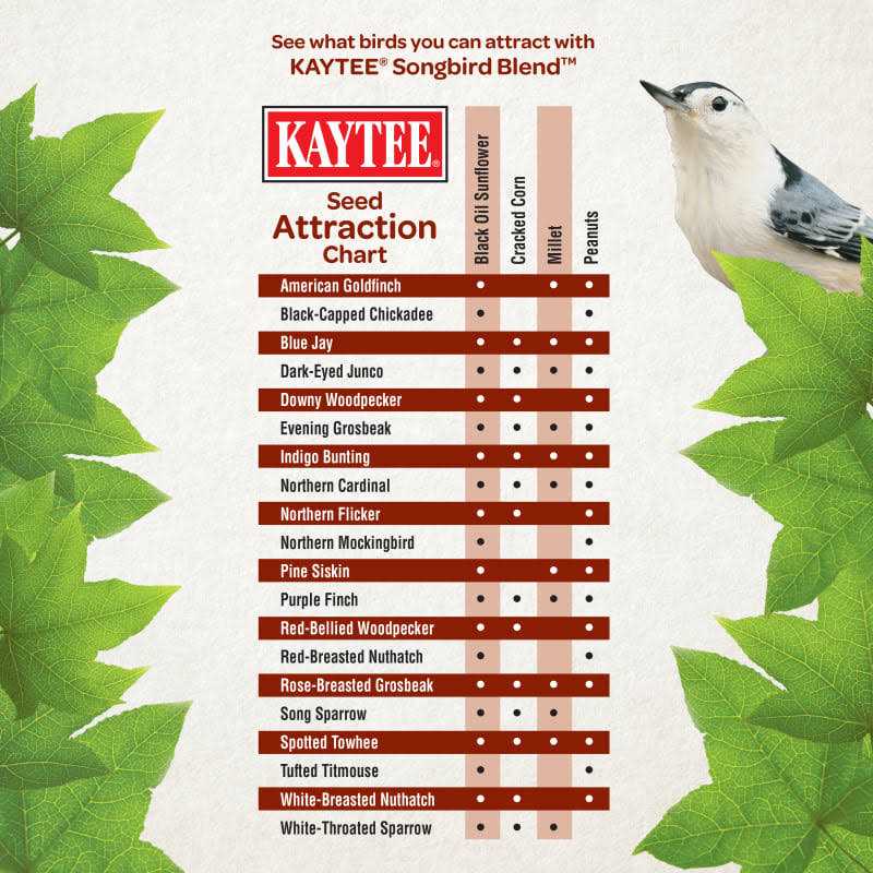 Wild Bird Food C54140