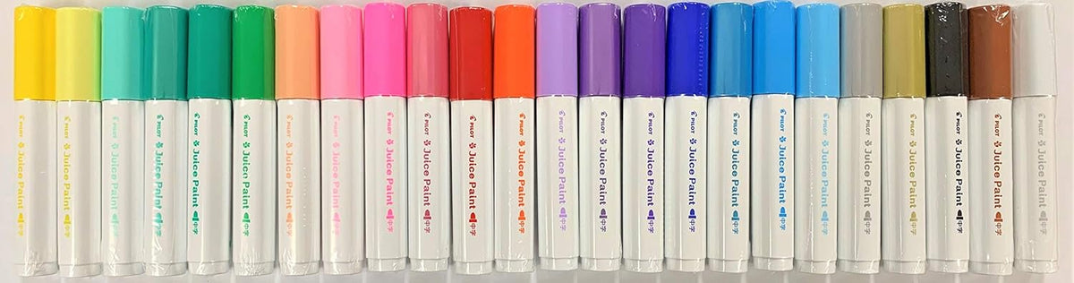 24 Colors Paint Marker Pen Set with Pen Case D337