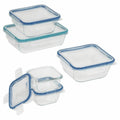 Glass Food Storage 10-piece Set V329