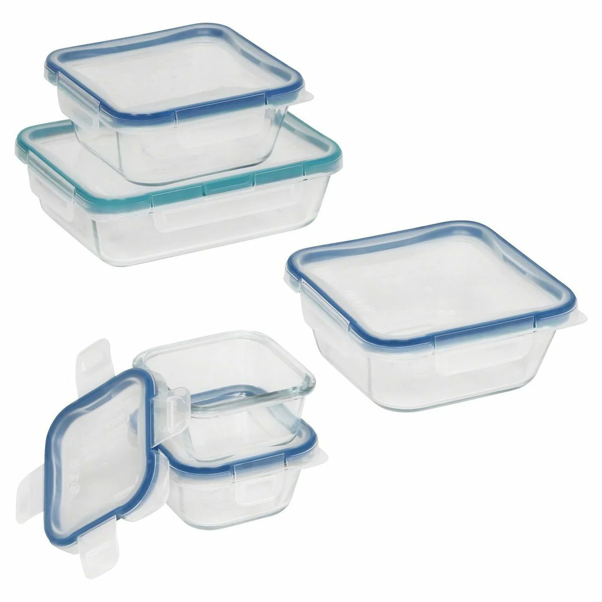 Glass Food Storage 10-piece Set V329