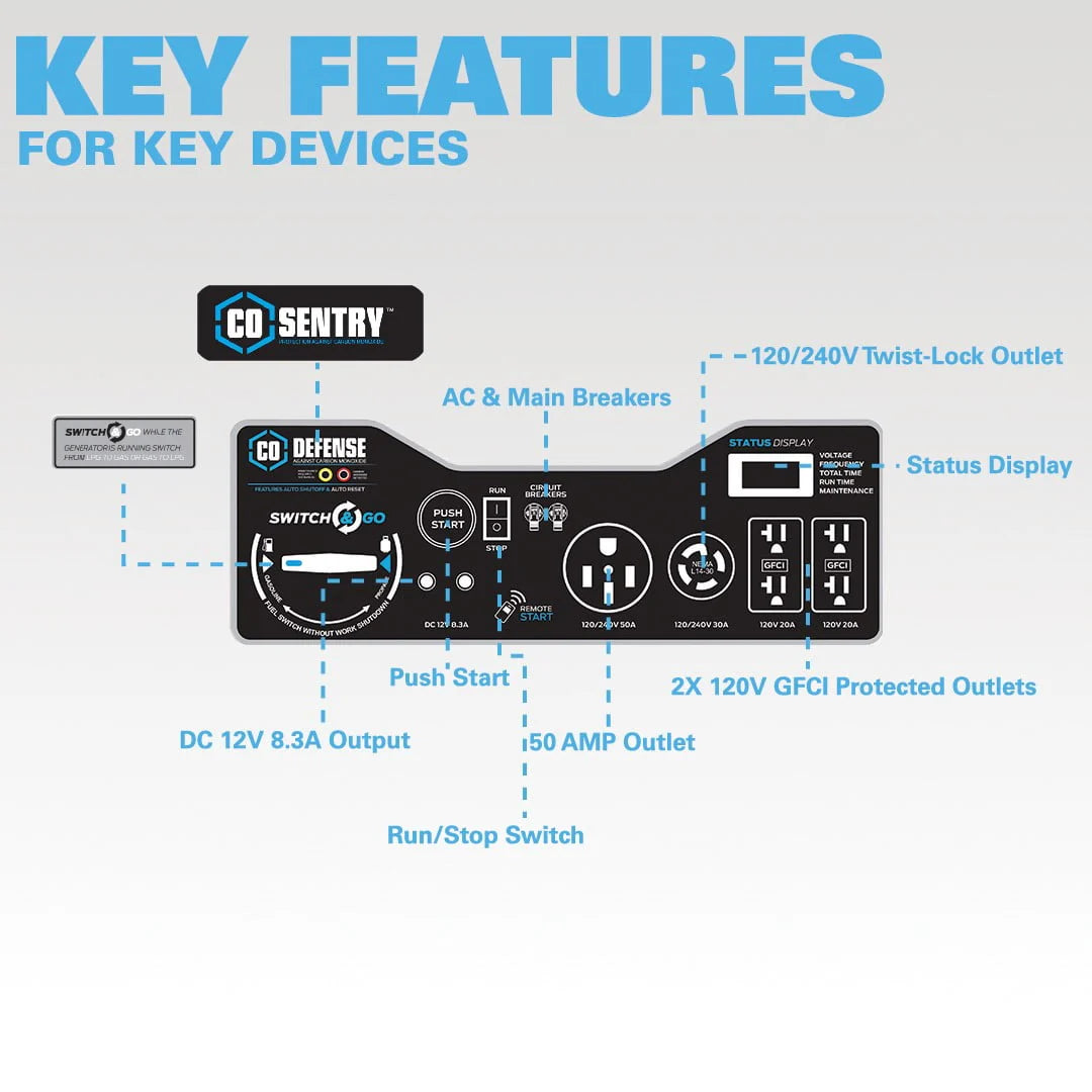 10,000 Watt Dual Fuel Portable Generator with Remote Start X61002