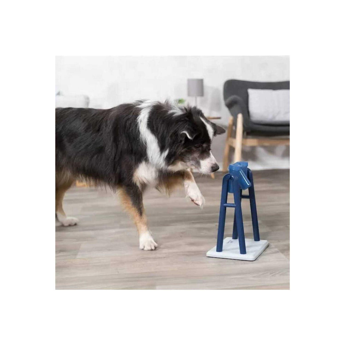 Dog Toy W842