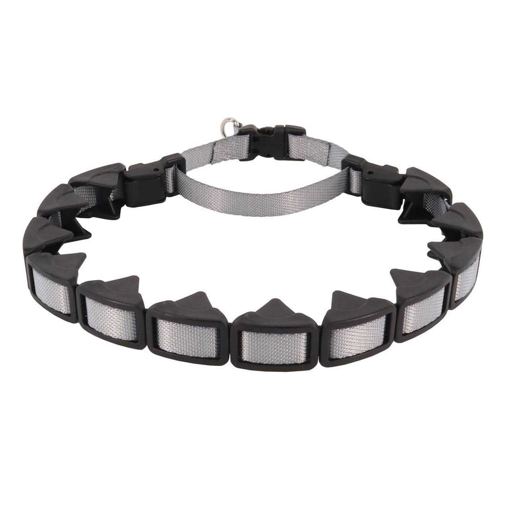 Training Collar D28001