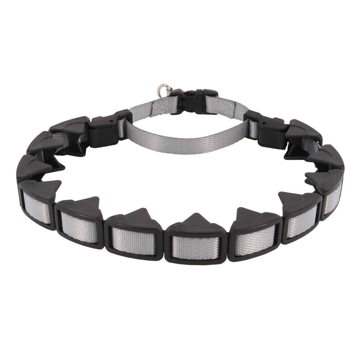 Training Collar D28001