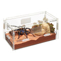 Micro Habitat Terrestrial B785872