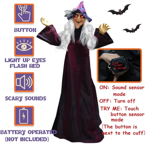 Life Size Talking Animated Witch with Light Up Eyes S165897