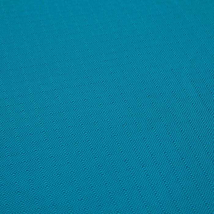 Teal Dog Mat E2741