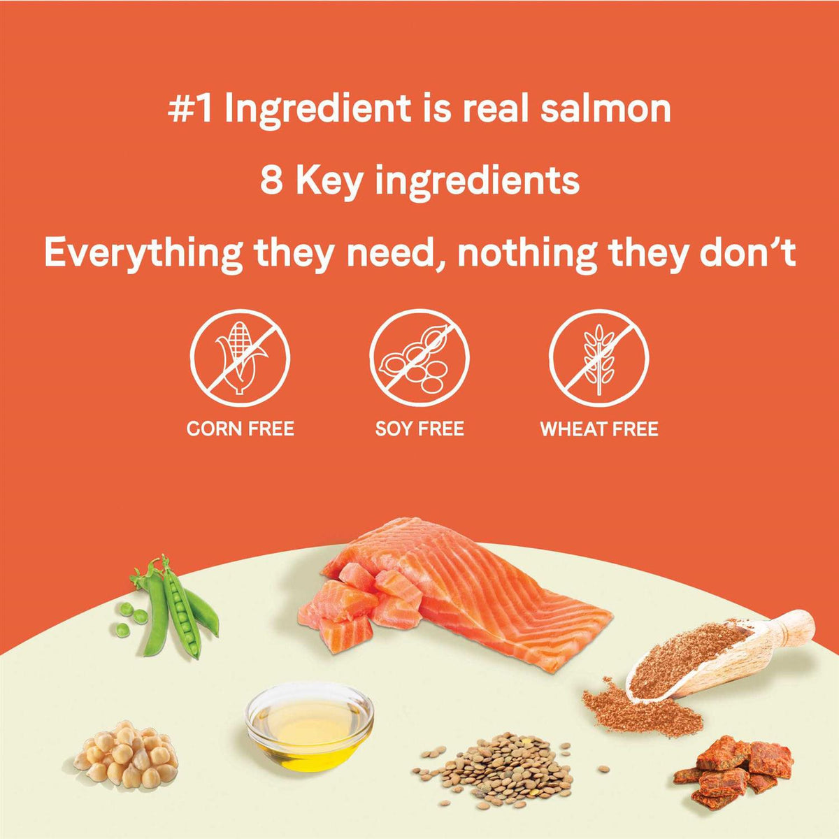 Salmon Dry Dog Food L639