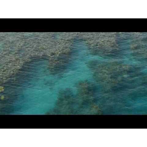 Red Sea Coral Pro Salt P742450