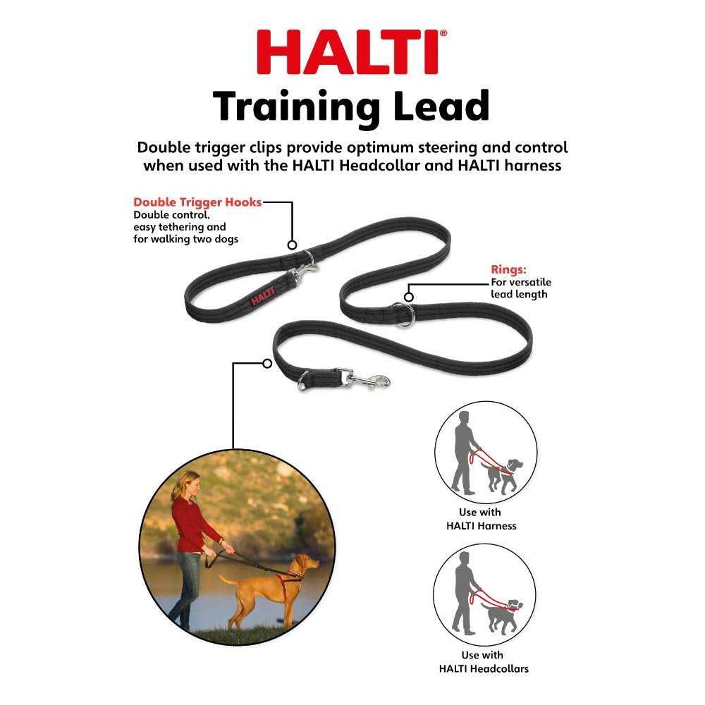 Training Lead L2222